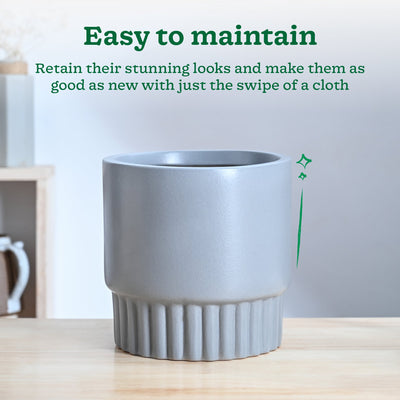 Immortal Nights Ceramic Planter