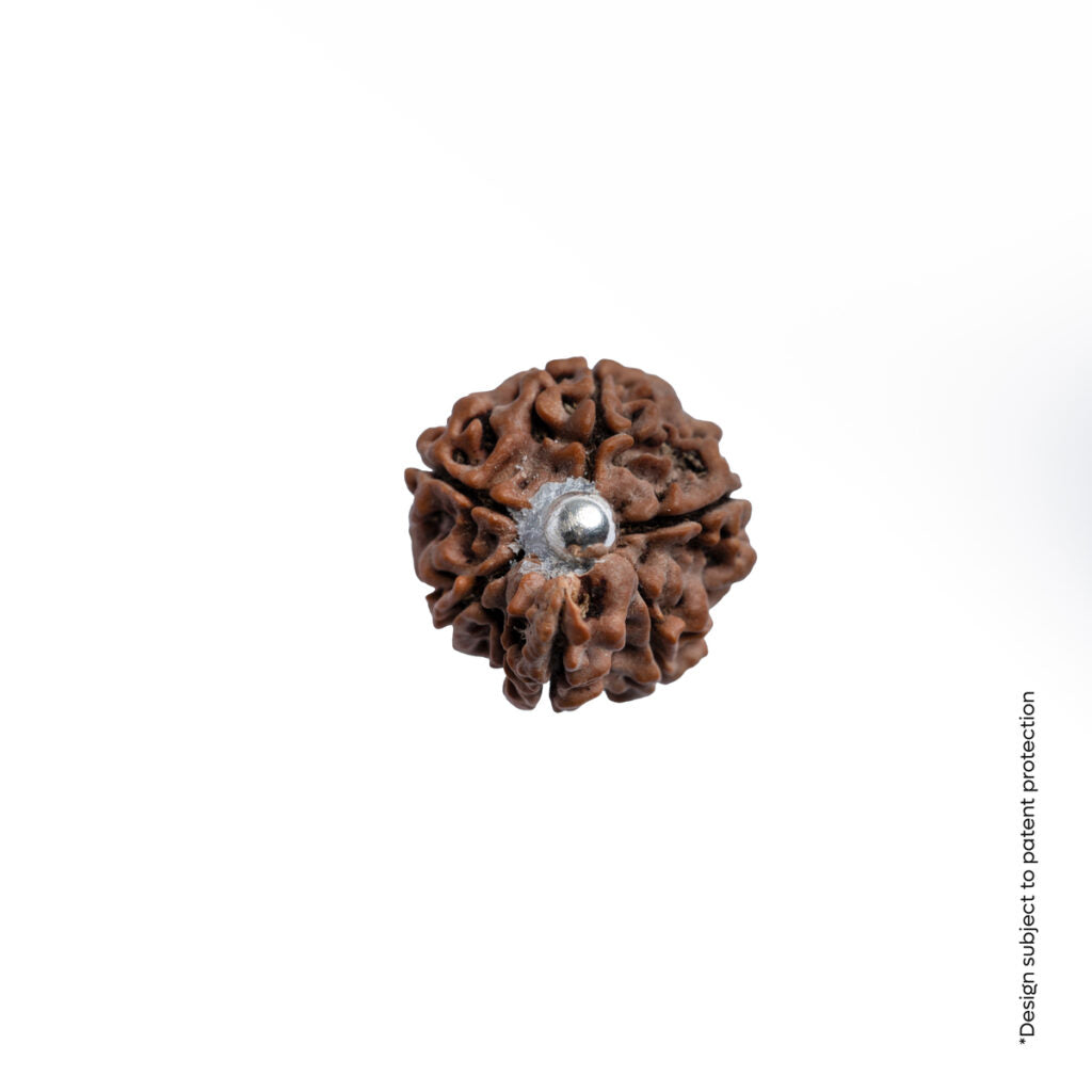 Adiyogi Pendant (Ganesh Mukhi Nepali  Rudraksha) With Chain