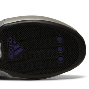 adidas Crazy 1 Regal Purple