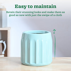 Blushing Sun Ceramic Planter