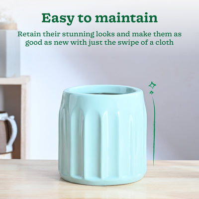 Blushing Sun Ceramic Planter