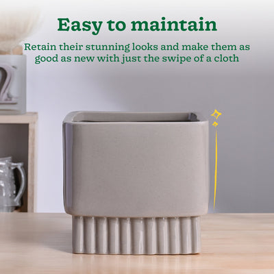 Immortal Nights Ceramic Planter