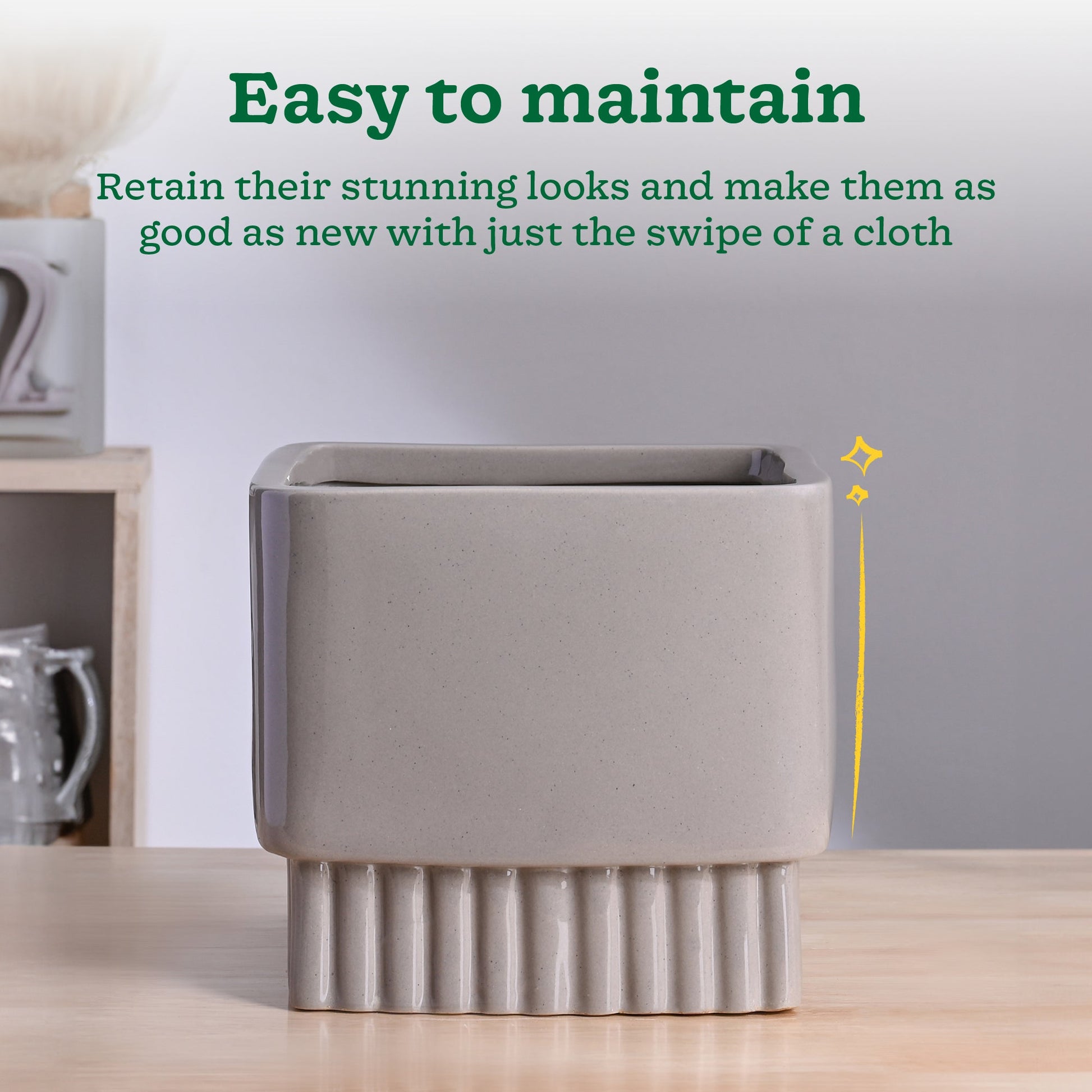 Immortal Nights Ceramic Planter