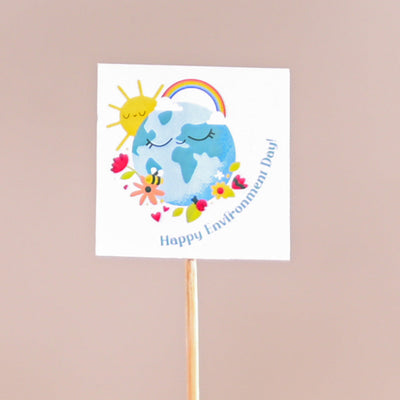 Zebra Haworthia Plant For Environment Day Gifting