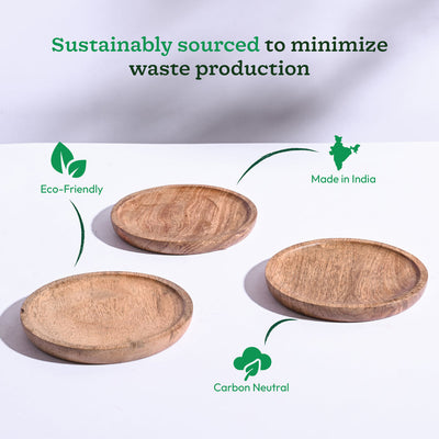 Wooden Plant Tray - Set of 3