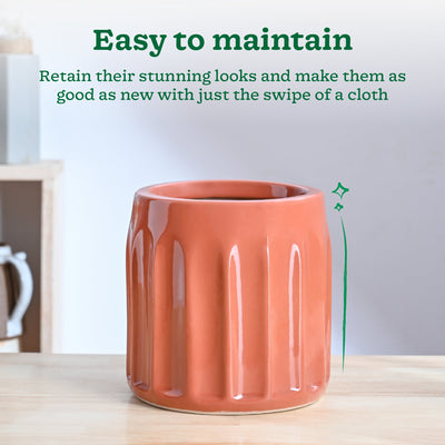 Blushing Sun Ceramic Planter