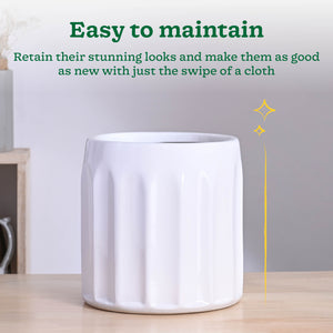 Blushing Sun Ceramic Planter