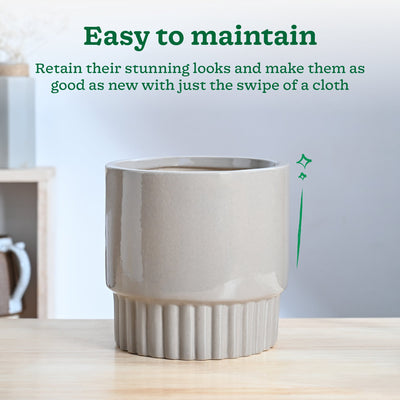 Immortal Nights Ceramic Planter