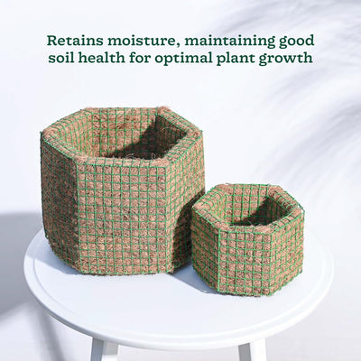 Hexa Coir Planter - Set of 2