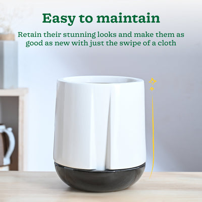 Moonlight Drama Ceramic Planter