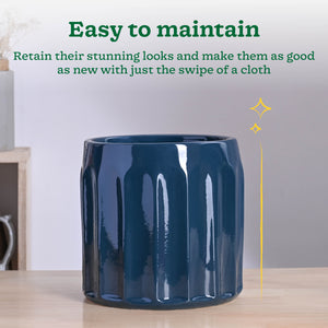 Blushing Sun Ceramic Planter