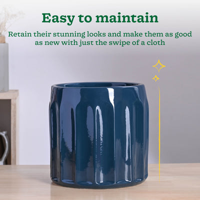 Blushing Sun Ceramic Planter