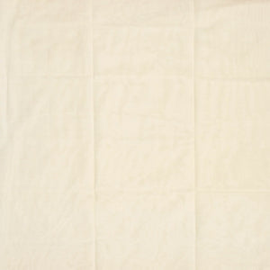 Off White Handloom Venkatagiri Cotton Saree With Jamdani Parrot Meenakari Motifs