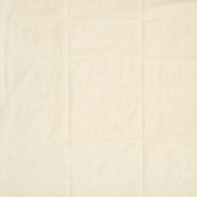 Off White Handloom Venkatagiri Cotton Saree With Jamdani Parrot Meenakari Motifs