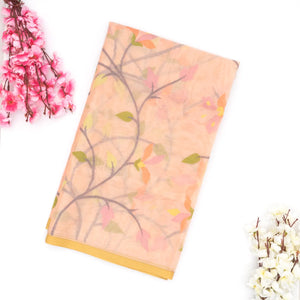 Light Peach Handwoven Banarasi Organza Silk Saree With Floral Motifs