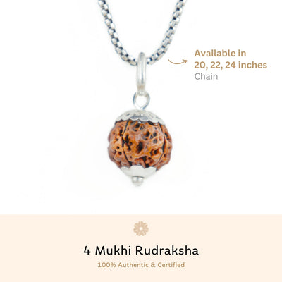Silver Capping 4 Mukhi Rudraksha Pendant With Chain  ( Nepali )