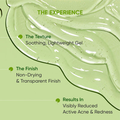 Acne Spot Correction Gel with 2% Salicylic + Cica