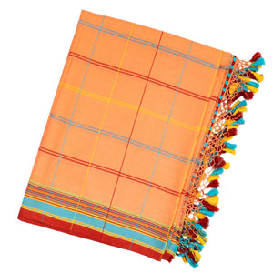 Peach Handloom Bhujodi Cotton Saree With Multi Colour Checks