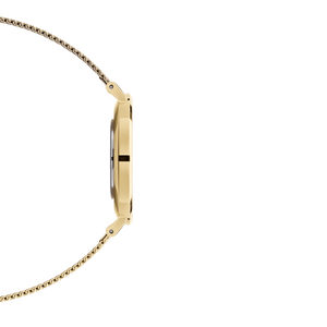 Petite Evergold White & Gold