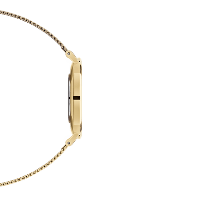 Petite Evergold White & Gold