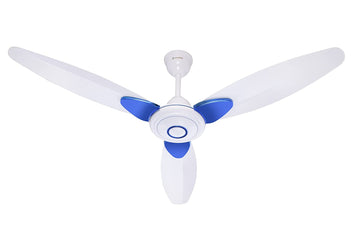 White Blue