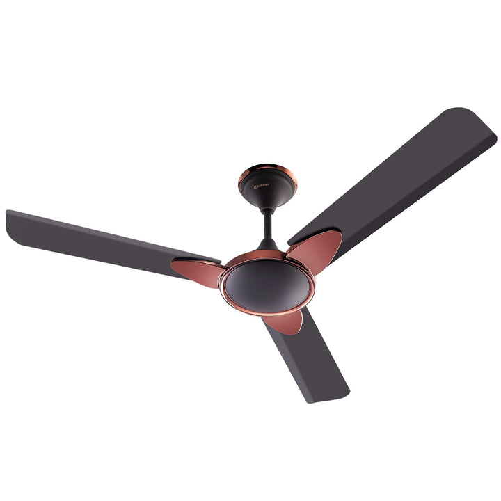 Candes Floreo 1200mm/48 inch High Speed 405 RPM Anti-dust Designer 3 Star Rated Ceiling Fan With 2 Yrs Warranty (Coffee Brown, Pack of 1)