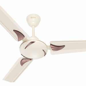 Candes Arena 900mm Ceiling Fan High Speed Anti-dust Decorative 3 Star Rated Ceiling Fan 2 Yrs Warranty (Ivory, 900mm)