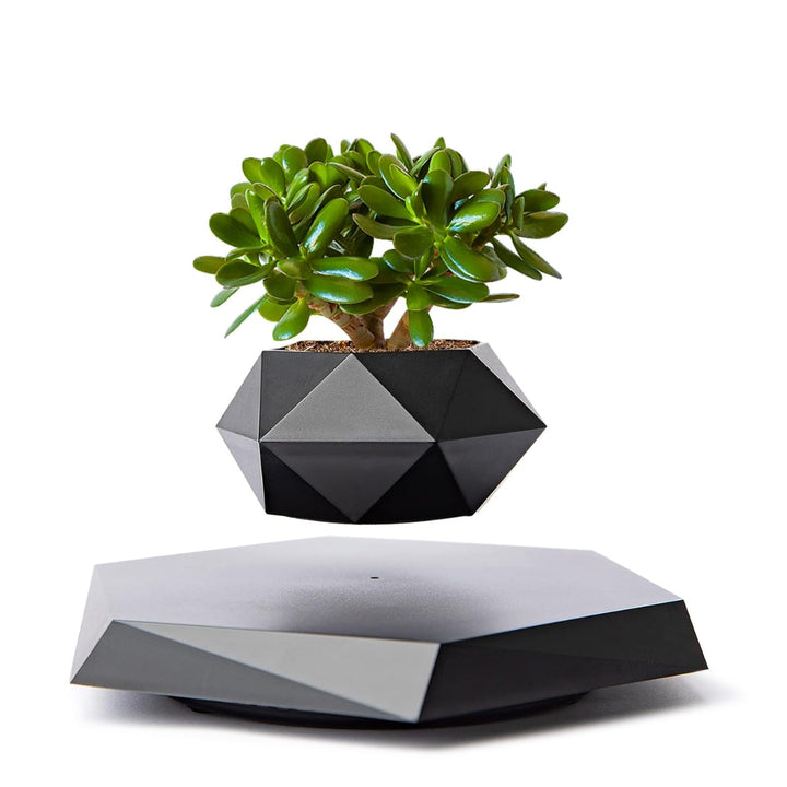 Magnetic Floating Plant Pot by BlackTree India