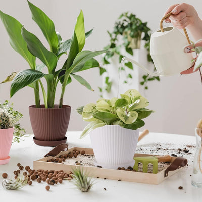 Premium Round Flower Pot + Trays Saucer