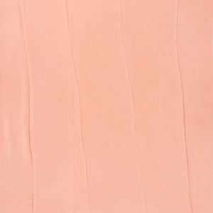 Light Peach Handwoven Banarasi Georgette Silk Saree Printed With Bird Motifs