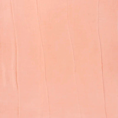 Light Peach Handwoven Banarasi Georgette Silk Saree Printed With Bird Motifs