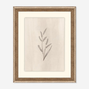 Elegant Botanical II Wall Art by Makai Howell