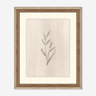 Elegant Botanical II Wall Art by Makai Howell