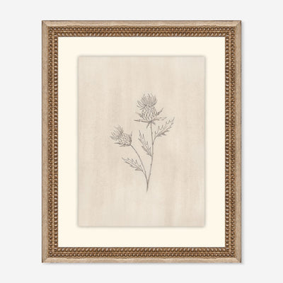 Elegant Botanical V Wall Art by Makai Howell