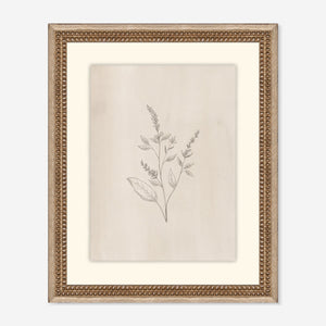 Elegant Botanical VI Wall Art by Makai Howell