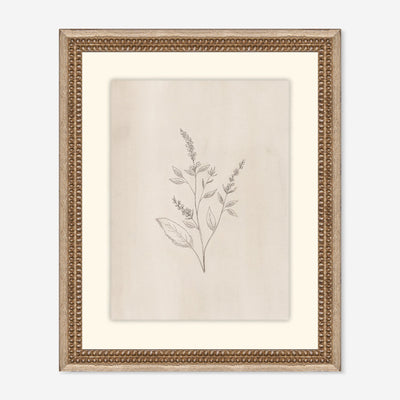 Elegant Botanical VI Wall Art by Makai Howell