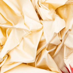 Cream Handloom Ikat Silk Saree With Contrast Red Border