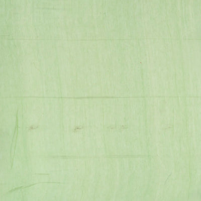 Mint Green Bengal Cotton Saree With Floral Motifs