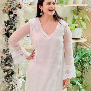 Sophia Organza Straight Kurta Set