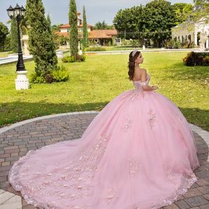 3D Floral Off Shoulder Ball Gown by LizLuo Fiesta 56526