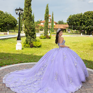 3D Floral Off Shoulder Ball Gown by LizLuo Fiesta 56526