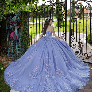 3D Floral Off Shoulder Ball Gown by LizLuo Fiesta 56529
