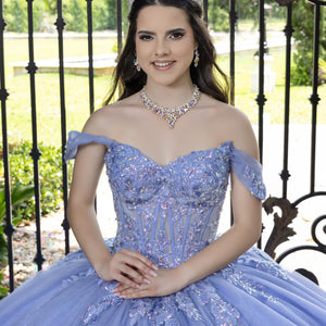 3D Floral Off Shoulder Ball Gown by LizLuo Fiesta 56529