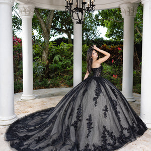 Lace Tulle Strapless Ball Gown by LizLuo Fiesta 56530
