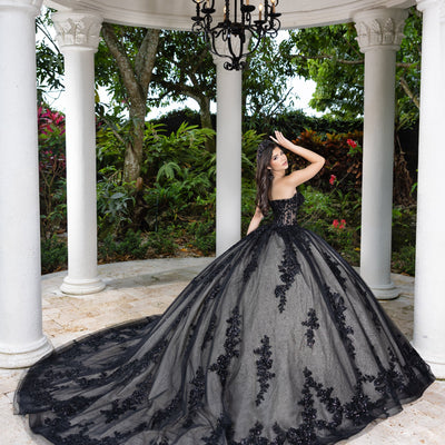 Lace Tulle Strapless Ball Gown by LizLuo Fiesta 56530