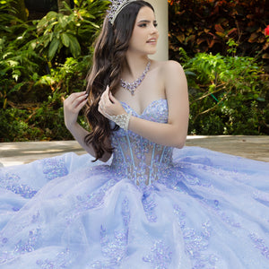 Lace Tulle Strapless Ball Gown by LizLuo Fiesta 56530