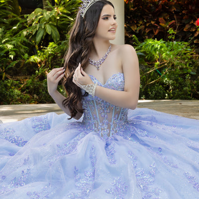 Lace Tulle Strapless Ball Gown by LizLuo Fiesta 56530