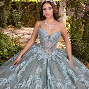 Sleeveless Corset Ball Gown by LizLuo Fiesta 56531