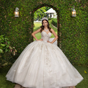 Applique Strapless Ball Gown by LizLuo Fiesta 56532