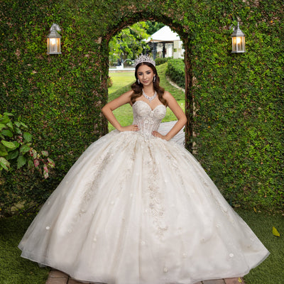 Applique Strapless Ball Gown by LizLuo Fiesta 56532